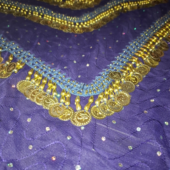 Belly Dance Hip Scarf with Gold Coins - Picture 4 of 4